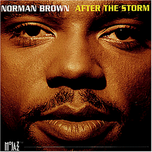 Produkt-Bild: After the Storm
