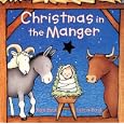 Christmas in the Manger