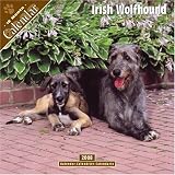 Irish Wolfhound 2008 Wall Calendar