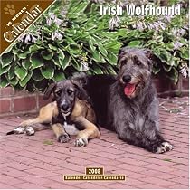 Irish Wolfhound 2008 Wall Calendar