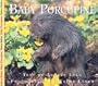 Baby Porcupine (Nature Babies)