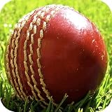 Cricketopium