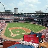 St. Louis Cardinals Busch Stadium Photo Mural Wallpaper 8x12 Feet Residential Grade Wallpaper