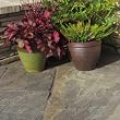 sandstone paving