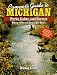 Book Camper's Guide to Michigan: Parks, Lakes, and Forests : Where to Go and How to Get There (Camper's Guides)