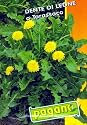 Dente Di Leone - Dandelion Green Seeds - 1 gram