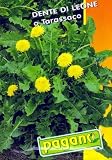 Dente Di Leone - Dandelion Green Seeds - 1 gram