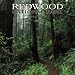 Redwood National Park 2005 Calendar