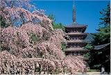1000ピース しだれ桜咲く醍醐寺