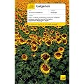 Complete Bulgarian Book/CD Pack (Teach Yourself)