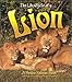 The Life Cycle of a Lion (Life Cycle)