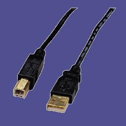 Buy A B USB Cable,2.0,Gold Plated,PVC Cable Jacket,10′,Black (CCS10428)
