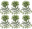 SIX 30" Maple Ivy Artificial Hanging Bushes