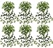 SIX 30" Maple Ivy Artificial Hanging Bushes