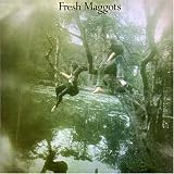 Fresh Maggots