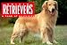 golden retriever - Golden Retrievers: A Book of Postcards