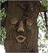 Smiley Forest Face
