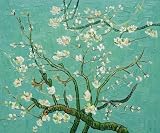 Art Reproduction Oil Painting - Van Gogh Paintings: Branches of an Almond Tree in Blossom - Classic 20 X 24 - Hand Painted Canvas Art