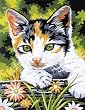 JUNIOR PAINT BY NUMBER KIT 9X12-KITTEN