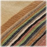 Croscill Carrington Stripe Shower Curtain