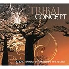 Tribal Concept by Baobab International Orchestra (Audio CD - 2008) - Import