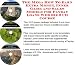 The Mega How To Earn Extra Money, Inner Game and Sales Models for Payday Loans Web Biz 3 CD Course