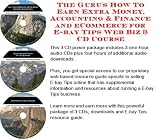 The Guru's How To Earn Extra Money, Accounting & Finance and eCommerce for E-bay Tips Web Biz 3 CD Course