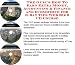 Book The Guru's How To Earn Extra Money, Accounting & Finance and eCommerce for E-bay Tips Web Biz 3 CD Course