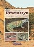 Uromastyx: Natural History, Captive Care, Breeding (Spiny-Tailed Lizards)