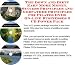 Book The Quick and Easy How To Earn Extra Money, Marketing and Success Principles for Pilates DVDs On-line Businesses 3 CD Course