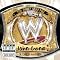 Sachen, die jeder Wrestlingfan haben sollte