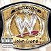 Sachen, die jeder Wrestlingfan haben sollte