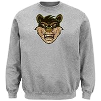university of cincinnati sweatshirt