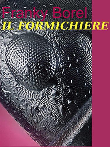 Il Formichiere (Italian Edition)