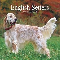 English Setters 2007 Calendar