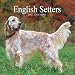 English Setters 2007 Calendar