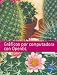Book Graficos Por Computadora Con OpenGL