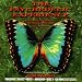 The Psychedelic Experience