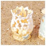 Coral Candle Holder - Mineralogy Nautical - Clayworks Blue Sky