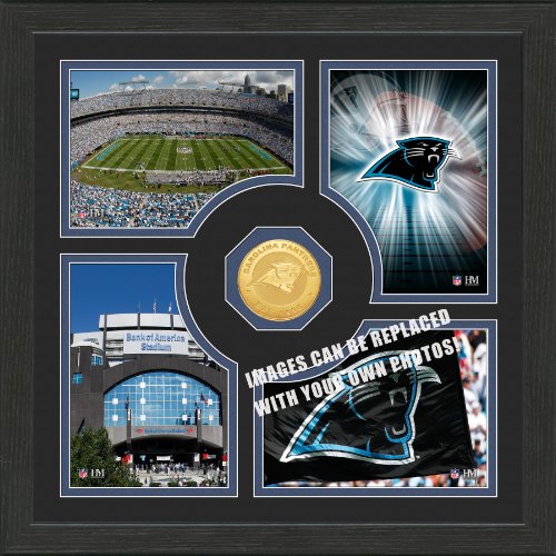 NFL Carolina Panthers 
