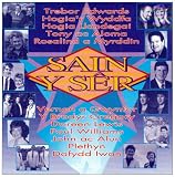 Music : Sain Y Ser: 20 Memorable Hit Songs By the Sain Label's Most Succesful Acts
