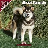 2009 Alaskan Malamute Wall Calendar