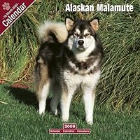 2009 Alaskan Malamute Wall Calendar