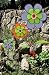 3 Fun Flowers Outdoor Wind Spinners