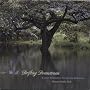 Drifting Downstream: Guided Relaxation for Stress Reduction