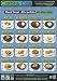 Carbs & Cals Poster Set: A Visual Guide to Carbohydrate & Calorie Counting for People with Diabetes