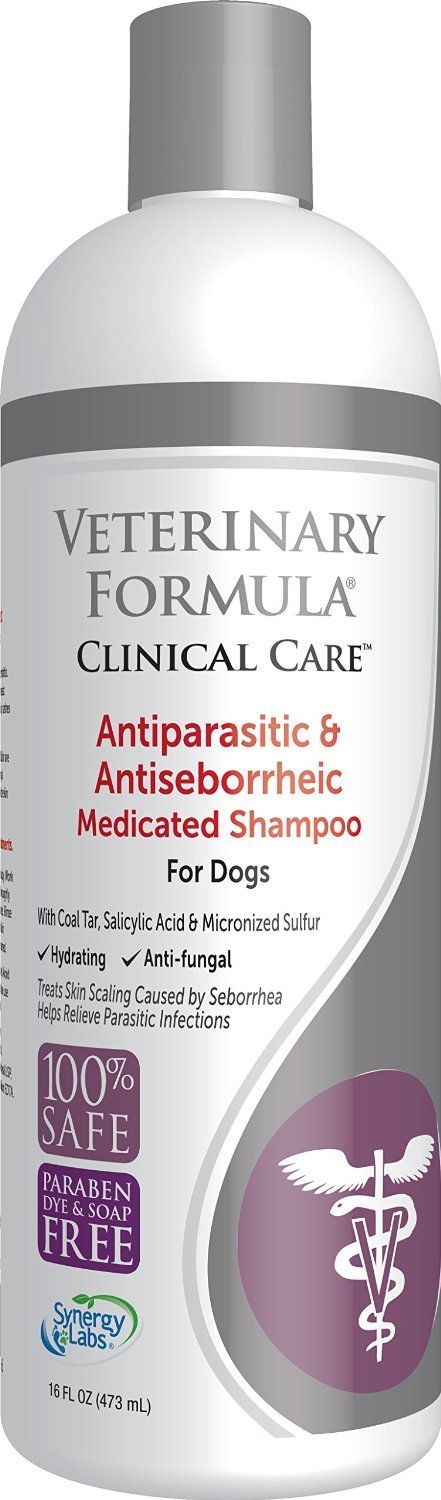 Pet Shampoos : Amazon.com: SynergyLabs Veterinary Formula Clinical ...