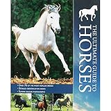 The ultimate guide to horses