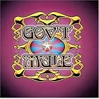 Click here to buy Live...With a Little Help from Our Friends by  Gov't Mule .