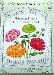 Zinnias Granny's Bouquet Mix California Giants Carousel and Cactus Seeds